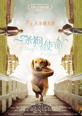 久久综合成人